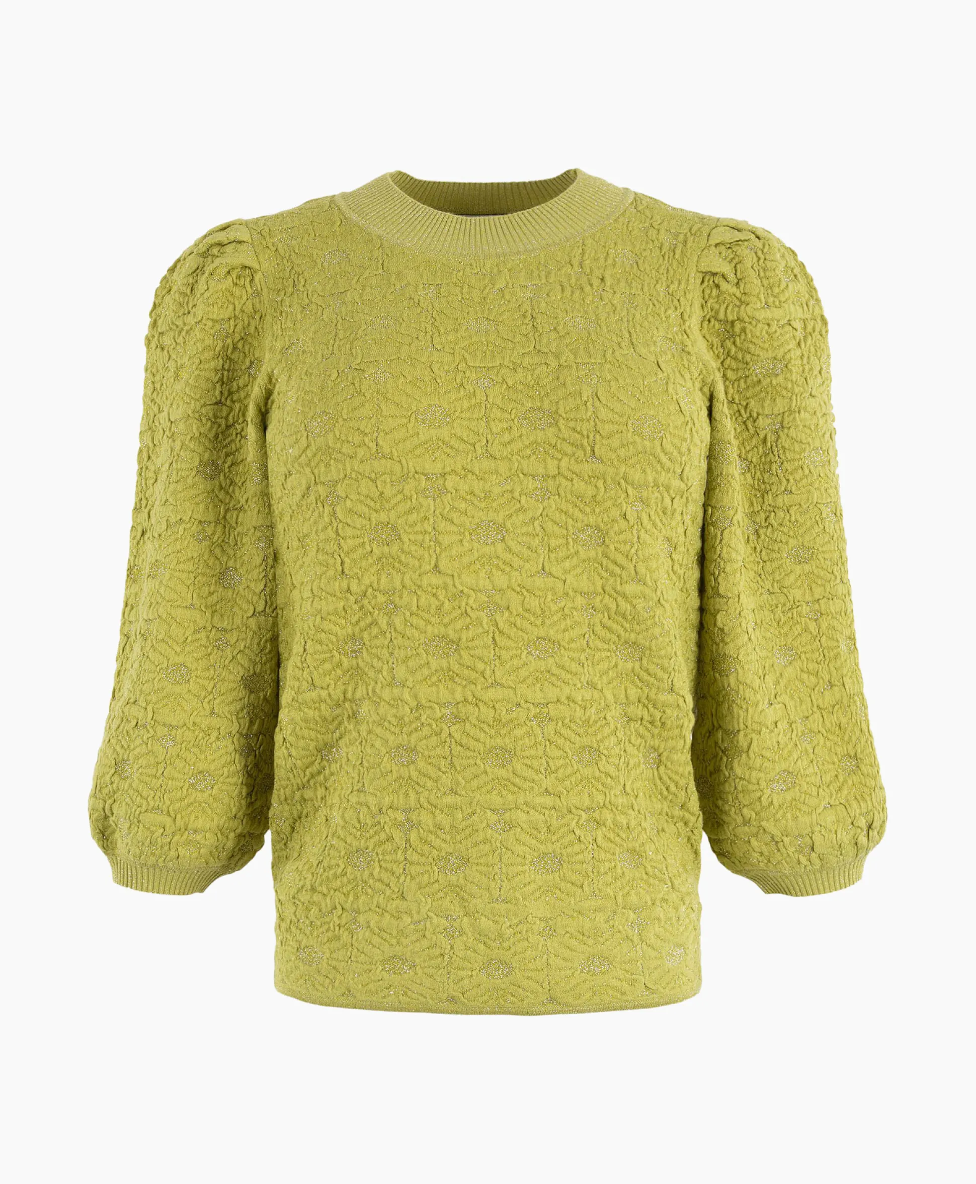 Anna Van Toor Pullover 34A09-02850 Groen