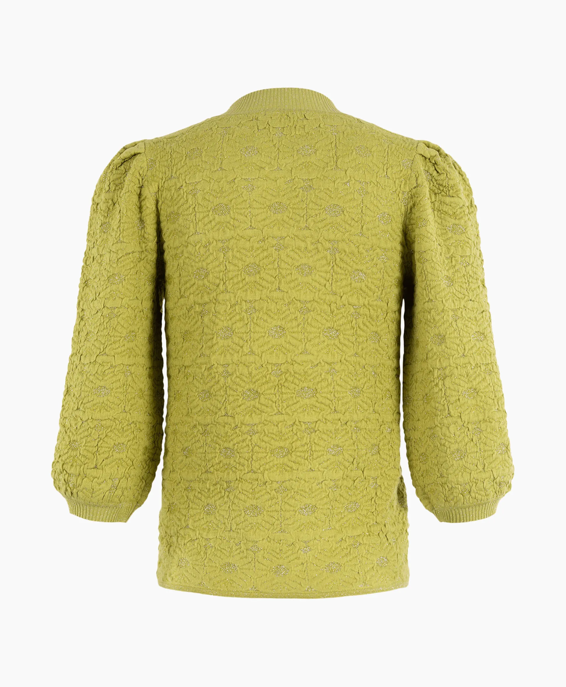 Anna Van Toor Pullover 34A09-02850 Groen
