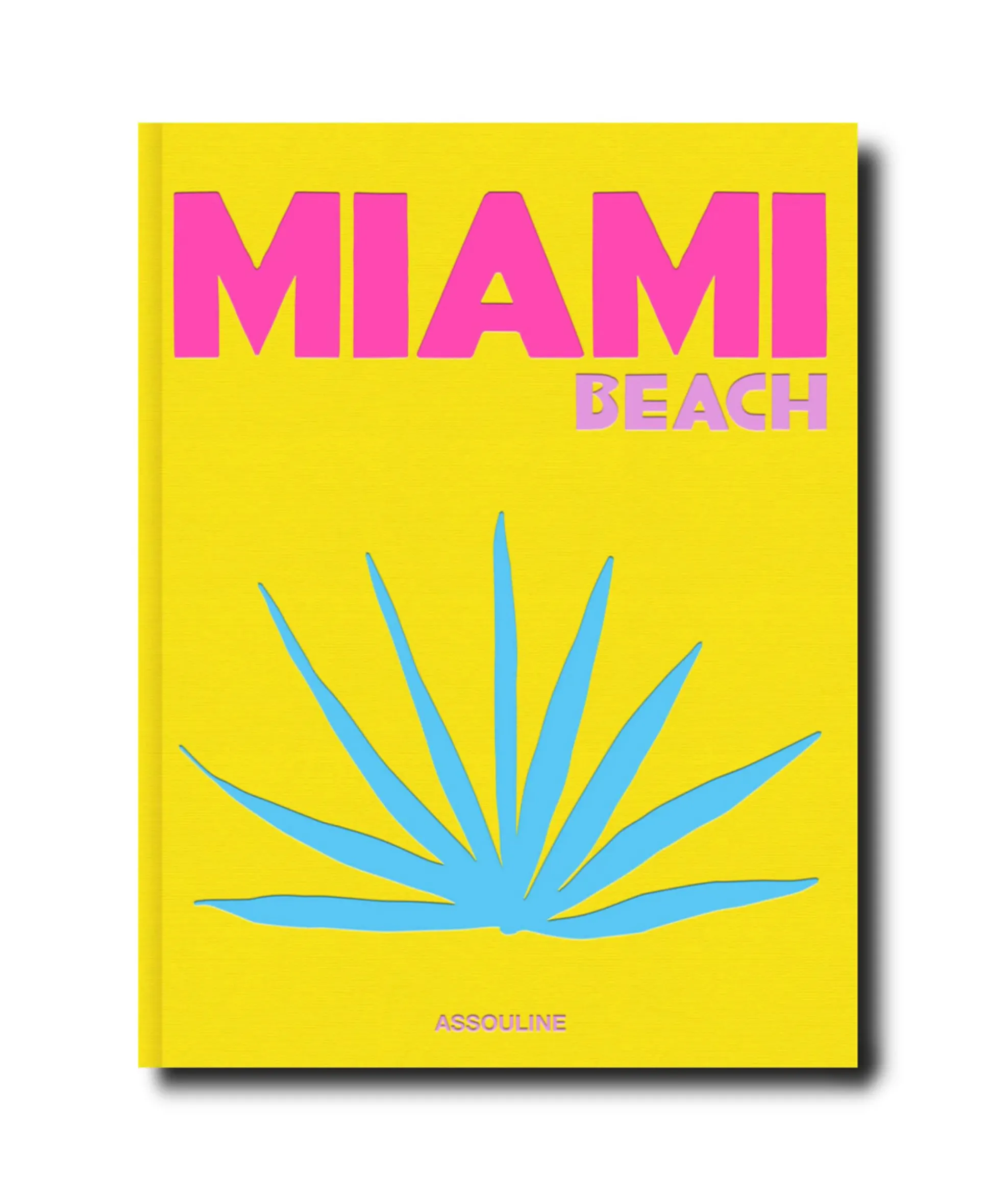 Assouline Boek Miami Beach Diversen