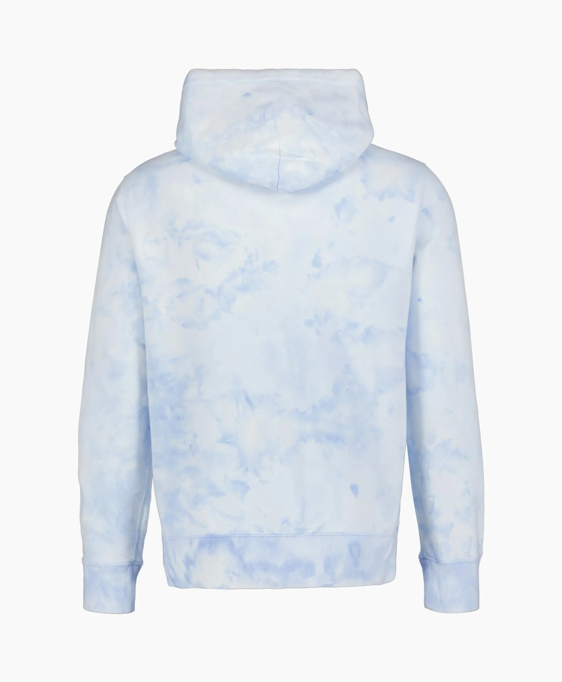 Ralph Lauren Hoodie Riviera Bear Licht Blauw