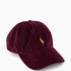 Ralph Lauren Pet Corduroy Bordeaux