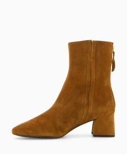 Unisa Enkellaars Lucas Ks Cognac